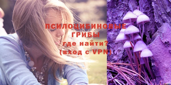 герыч Богородск