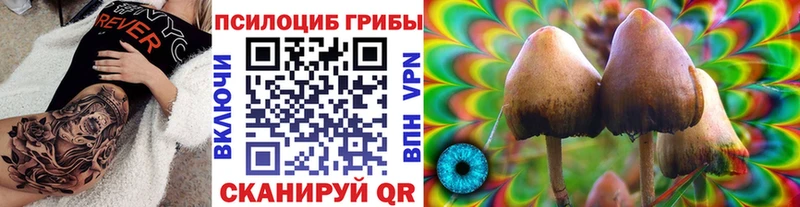 Псилоцибиновые грибы MAGIC MUSHROOMS  даркнет телеграм  Чернушка  blacksprut вход 