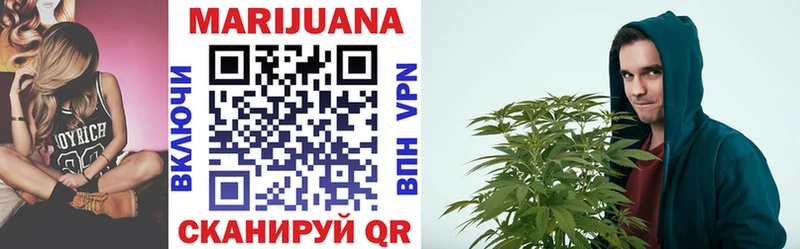 Каннабис OG Kush  Чернушка 